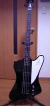 Gibson THunderbird 1.jpg